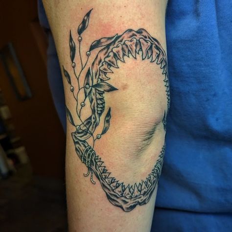 Shark Jaws Tattoo Knee, Shark Jaw Tattoo Knee, Jaw Tattoo Knee, Shark Jaw Tattoo, Shark Jaws Tattoo, Jaw Tattoo, Tattoo Shark, Tattoo Knee, Shark Jaw