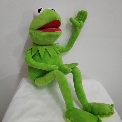 Kermit the Frog Doll Kermit Mood, Frog Things, Die Muppets, Stuffed Frog, Kermit Memes, Frog Doll, Frog Plush, The Muppet Show, Soft Boy