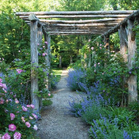 Rustic Arbor, Rustic Pergola, Arbor Ideas, Garden Vines, Garden Arbor, Pergola Plans, Pergola Patio, Pergola Designs, Natural Garden