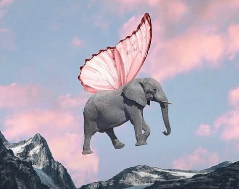 Pink Elephant Aesthetic, Gajah Aesthetic, Giraffe Images, Feminism Art, Elephant Poster, Elephant Pictures, Flying Elephant, Modern Graphic Art, Collage Art Projects