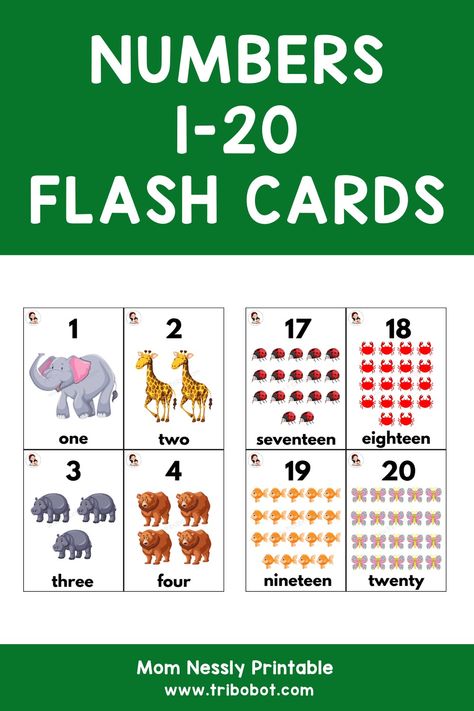 Numbers Flash Cards Number Flashcards Printable Free 1-20, Free Printable Numbers, Number Flashcards, Free Printable Flash Cards, Learn Numbers, Preschool Teachers, Breastfeeding Baby, How To Focus Better, Numbers For Kids