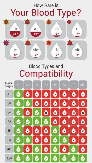 B negative(B -ve), which is found in 1.5 percent of the total population. AB negative(AB -ve), which is found in 0.6 percent of the total population. AB positive(AB +ve), which is found in 3.4 percent of the total population. Medic School, Rarity Pfp, Blood Compatibility, O Positive Blood, Rarest Blood Type, Blood Type Personality, Blood Donation Posters, Phlebotomy Study, O Blood Type