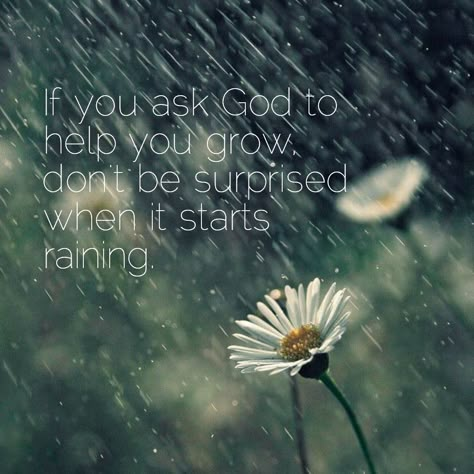 Morning Rainy Day, Good Morning Rainy Day, Rainy Day Quotes, Rainy Mood, Sparkle Quotes, Yoga Themes, Rain Quotes, Ask God, Quotes Scriptures