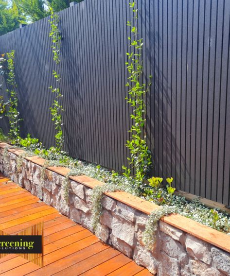 Merbau Decking, Fence Toppers, Black Fence, Timber Screens, Timber Slats, Hardwood Decking, Timber Fencing, Pool Landscape Design, Horizontal Fence