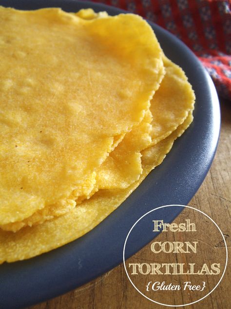 Cornmeal Tortillas Recipe, Cornmeal Tortillas, How To Make Cornmeal, Make Corn Tortillas, Gluten Free Tortillas Recipe, Corn Tostadas, Recipes Using Flour, Gluten Free Corn Tortillas, Cornmeal Recipes