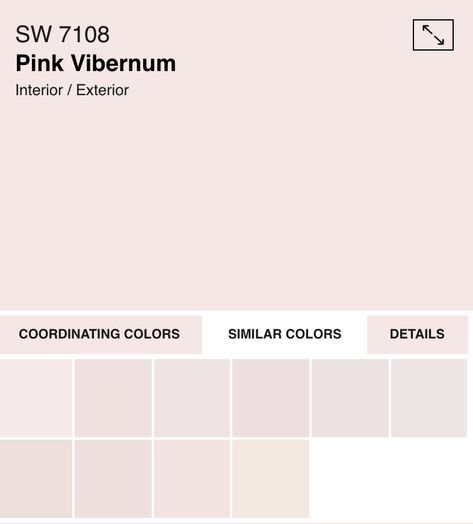 Diminutive Pink Sherwin Williams, Pink Paint Colors Sherwin Williams, Pink Paint Color, Sherwin William, Light Pink Paint, Pink Painted Walls, Ashley Bedroom, Sherman Williams, Red Paint Colors