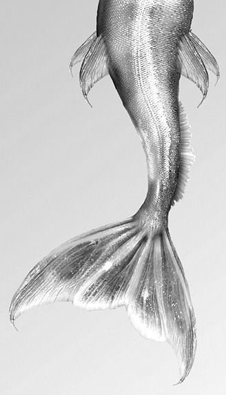 chrome, silver, metallic Silver Aesthetic, Silver Lining, A Mermaid, Sirens, Little Mermaid, The Little Mermaid, Under The Sea, The Sea, Floating