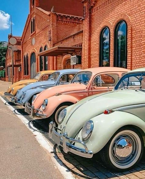 Volkswagen Vintage, Van Vw, Old Vintage Cars, Vw Vintage, Vintage Vw, Classy Cars, Pretty Cars, Vw Bug, Love Car