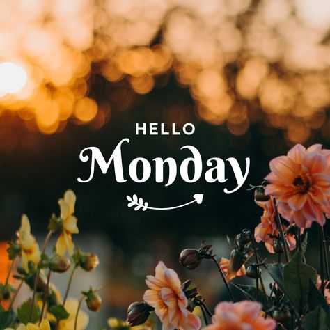 Wishing everyone an awesome week! You got this! #mondayvibes #yougotthis Best Ig Captions, Monday Morning Wishes, Good Morning Tuesday Images, Morning Message For Her, Happy Monday Images, Monday Wishes, Good Morning Monday Images, Good Morning Sunday Images, Happy Monday Morning