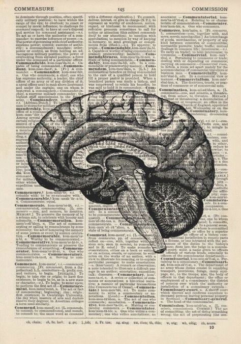 Dictionary Page, Medical Art, Med School, Anatomy Art, Human Anatomy, Neuroscience, Book Page, Psych, Wall Collage