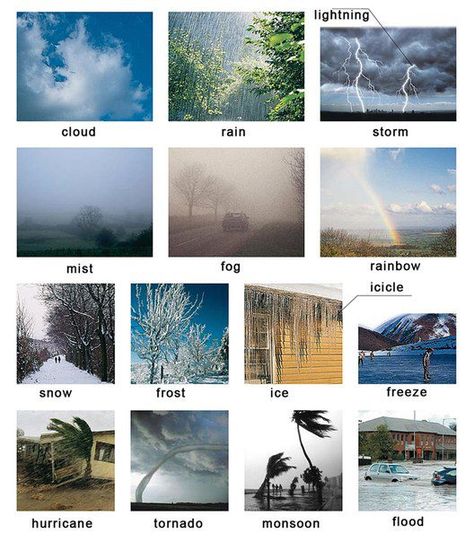 Learning about different types of weather English lesson Weather In English, Weather Vocabulary, Visual Dictionary, English Vocab, French Vocabulary, Learning French, Weather Seasons, English Language Teaching, English Activities