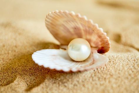 Shells Aesthetics, Pearl In A Shell, Pearl In Shell, Royal Interior, Shell With Pearl, Baby Shower Fruit, Pearl Wallpaper, Lucky Wallpaper, Pearl Farm