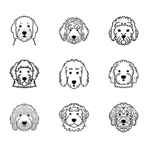 20,500+ Golden Doodle Stock Illustrations, Royalty-Free Vector Graphics & Clip Art - iStock | Labradoodle, Golden retriever, Dog Golden Doodle Cartoon Drawing, Golden Doodle Drawing Easy, Golden Doodle Silhouette, Labradoodle Outline, Golden Doodle Sketch, Golden Doodle Tattoo Outline, Golden Doodle Outline, Golden Doodle Illustration, Goldendoodle Outline