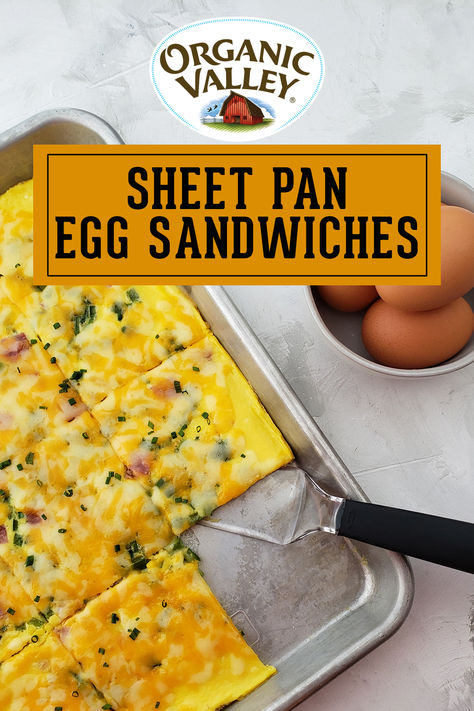 Egg Crockpot Recipes, Sheet Pan Breakfast Egg Sandwich, Sheet Pan Egg Whites For Breakfast Sandwiches, Egg Sheet Pan Breakfast, Sheet Pan Egg Recipes, Sheet Pan Eggs Breakfast, Sheet Pan Egg Bake, Easy Egg Sandwich Breakfast, Sheet Pan Egg Sandwiches