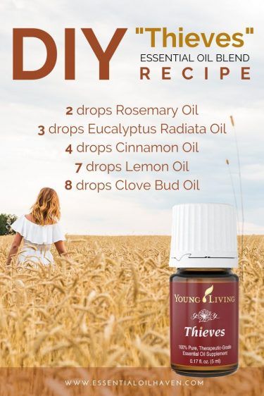 5 Alternative Blends to Young Living Thieves® – DIY Thieves Oil Recipe Theives Oil Recipe, Thieves Essential Oil Recipe, Thieves Oil Recipe, Diy Thieves, Young Living Thieves, Thieves Oil, Essential Oil Combinations, Thieves Essential Oil, Fragrance Blends