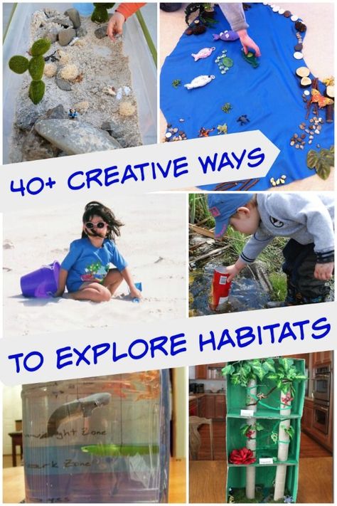 Explore a variety of animal habitats with these hands-on science activities, fun crafts, webcams and unique projects! Animal Science Experiments, Habitat Activities, Habitats Projects, Animal Habitat, Science Crafts, Free Printable Activities, Animal Science, Kindergarten Science, Holiday Games