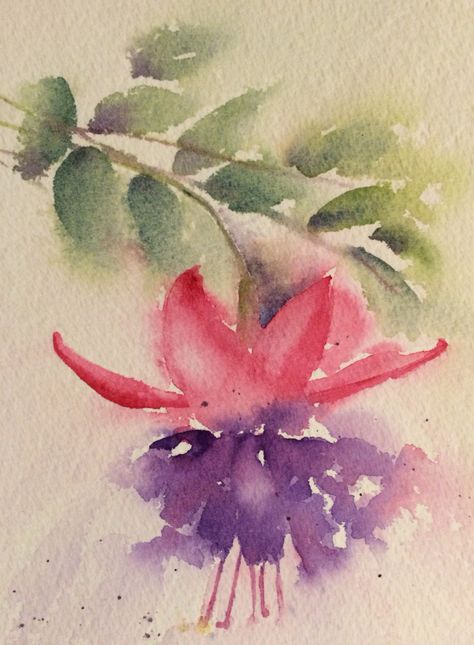 Watercolor Fuschia, Watercolor Fuschia Flowers, Abstract Watercolor Flower, Loose Watercolor Flowers, Learn Watercolor Painting, Floral Watercolor Paintings, Watercolor Flowers Tutorial, Watercolor Paintings For Beginners, Diy Watercolor Painting