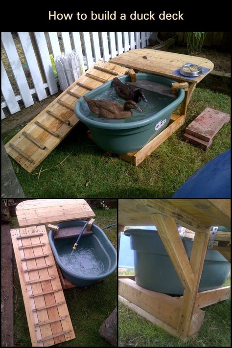 Duck Habitat, Duck Enclosure, Duck Pool, Duck Pens, Ducks And Chickens, Backyard Ducks, Duck Coop, Duck Stuff, Raising Ducks