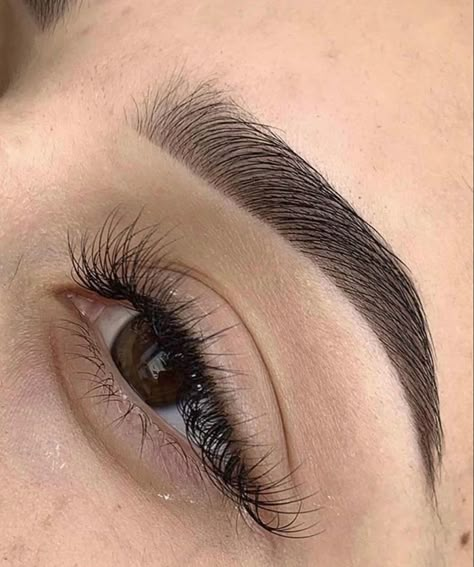 Shape Of Eyebrows, Perfect Brows Shape, S Shaped Eyebrows, Lifted Eyebrows, Clean Eyebrows, Cute Eyebrows, Brows Shaping, Different Eyebrow Shapes, Eyebrows Shaping