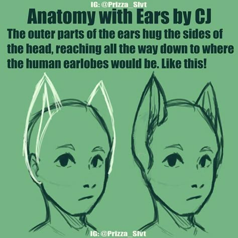 Ears Drawing, Anime Cat Ears, Figures Drawing, How To Draw Ears, Hybrid Cat, Drawing Help, Drawing Animals, Human Figures, Art Help