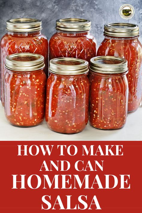 The Best Salsa Recipe, Salsa Recipe For Canning, Canning Homemade Salsa, Canned Salsa Recipes, Salsa Canning Recipes, Best Salsa Recipe, Canning Tomatoes Recipes, Best Salsa, Salsa Tomatillo