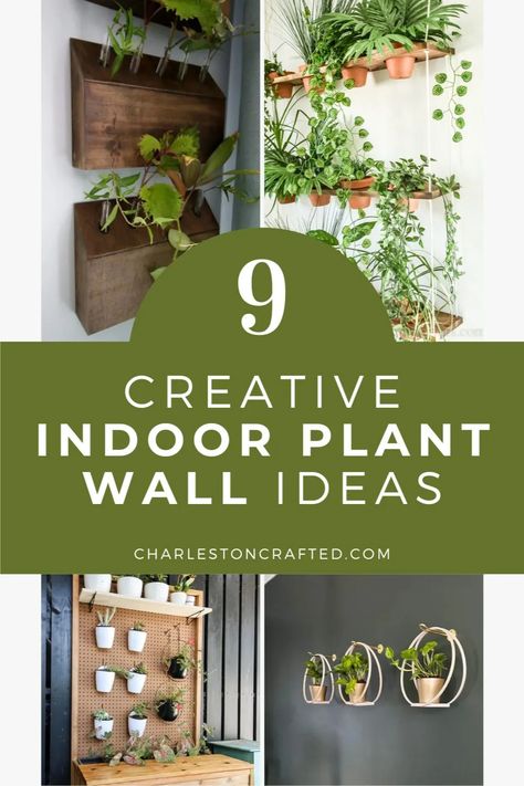 Looking for ways to bring a little more green inside your home? Check out these 9 creative indoor plant wall ideas for inspiration! Wall Succulents Indoor, Small Plant Wall, Living Wall Indoor Interior Design, Unique Ways To Display Plants, Indoor Plant Wall Ideas, Indoor Wall Planter Ideas, Plant Wall Ideas Indoor, Indoor Green Wall, Wall Planter Ideas