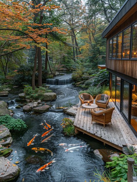 Top View of Small Garden with Wooden Deck and Koi Pond Lakeside Backyard Ideas, Natural Swimming Ponds With Fish, Koi Carp Pond, Pond Deck Ideas, House Over Water, Small Koi Pond Ideas, Small Black House, Small Garden Features, Pond With Koi Fish