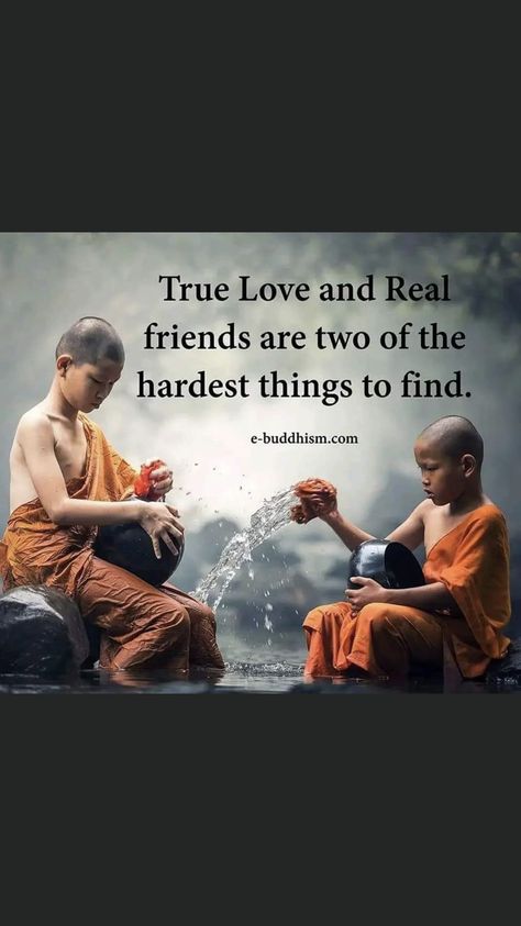 Buddha Thoughts, Quiet The Mind, Quiet Mind, Imaginary World, Buddha Quotes Inspirational, Cool Quotes, Buddha Quotes, Deep Meaning, Self Reminder