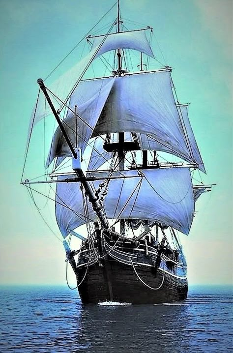 ۞The Gentleman Pirate Ship Art, Navi A Vela, Der Gentleman, Old Sailing Ships, Clipper Ship, Pirate Ships, Ship Tattoo, Sailing Vessel, Ship Drawing