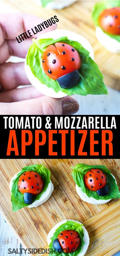 Ladybug Appetizers, Ladybug Snacks, Caprese Salad Appetizer, Caprese Salad Bites, Mozzarella Appetizers, Caprese Appetizer, Tomato Appetizers, Caprese Bites, Tomatoes And Mozzarella