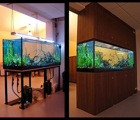 Fish Tank On Wall, Big Aquarium Living Rooms, Aquarium Mural, Apartment Decorating Hacks, Cichlid Aquarium, Big Aquarium, Fresh Water Fish Tank, House Redesign, Aquarium Setup