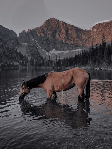 Greek Aesthetic, Equestrian Aesthetic, Horse Aesthetic, Friend Poses Photography, Aesthetic Tumblr, Horse Life, Fantasy Aesthetic, Horse Photos, Aesthetic Images