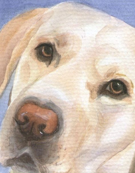 Animal Watercolour, Painting Dogs, Portraits Pop Art, Brindle Boxer, Yellow Labs, Dog Paw Tattoo, Yellow Dog, Dog Sketch, Watercolor Paintings For Beginners