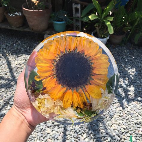 Sunflower Coaster, Crafts For Mom, Sunflower Home Decor, Flower Preservation, Diy Resin Art, Diy Resin, How To Preserve Flowers, Resin Diy, Resin Crafts