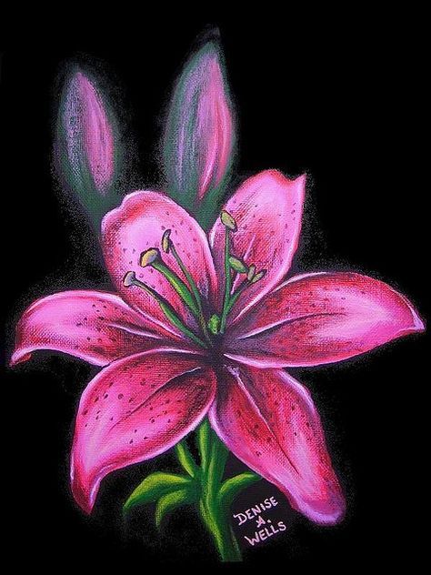 https://flic.kr/p/7obvGH | Pink Lily by Denise A. Wells | Acrylic painting I just finished. I just LOVE to work with these colors - it cheers me up.... More of my artwork can be viewed at <a href="http://www.myspace.com/denyceangel666" rel="nofollow">www.myspace.com/denyceangel666</a> Lily Flowers Painting, Painting Of Lilies, Pretty Flower Painting, Lilly Drawing Flowers, Drawing Of A Lily, Lilies Drawing, Lily Art, Easy Flower Painting, Lily Painting