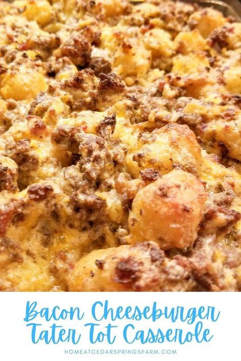 Bacon Cheeseburger Casserole Tater Tots, Bacon Cheeseburger Bake, Bacon Cheeseburger Tater Tot Casserole, Beef Tater Tot Casserole, Cheese Tater Tots, Bacon Casserole Recipes, Tot Recipes, Cheeseburger And Fries, Cheeseburger Tater Tot Casserole