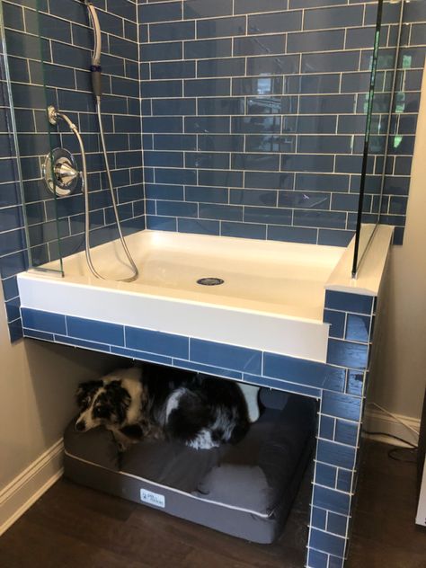 Dog shower with dog bed beneath Under Sink Dog Bed, Convert Shower To Dog Bath, Half Bath With Dog Wash, Raised Dog Washing Station, Small Dog Washing Station, Laundry Room Ideas With Dog Bath, Outdoor Dog Shower Ideas, Dog Bath In Laundry Room, Diy Dog Washing Station Indoor