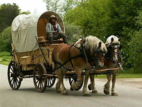 Covered Wagons, American Pioneers, Driving Horses, Horse Wagon, Horse Drawn Carriage, Carriage Driving, Horse Drawn Wagon, Old Wagons, Into The West