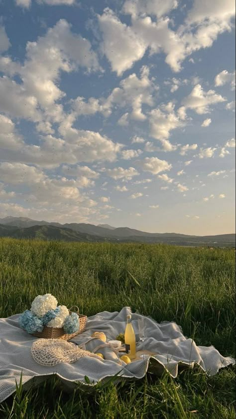 Picnic In A Field Of Flowers, Summer Aesthetic Countryside, Cozy Spring Aesthetic, Meadow Picnic, Grace Start, Cottagecore Aesthetic Wallpaper, Summer In The Country, Soft Life Era, Soft Lifestyle