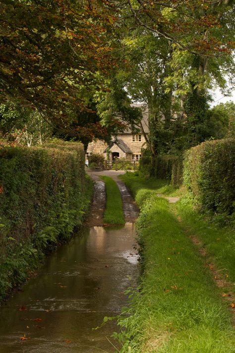 Literally a cottage off a river, while down near Crewkerne, Somerset Betty Neels, Somerset England, River Cottage, Cottage Aesthetic, Cottage In The Woods, British Countryside, Foto Art, English Cottage, Jolie Photo