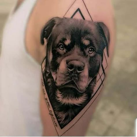 10 Cool Rottweiler Tattoos Drawn On The Bodies Of The Most Loyal Owners - Rottweiler Life Rotweiller Tattoo, Rottweiler Tattoo Ideas, Tatuaje Studio Ghibli, Rottweiler Tattoo, Tatoo Dog, Tattoo Pet, Dog Portrait Tattoo, Small Dog Tattoos, Dog Memorial Tattoos