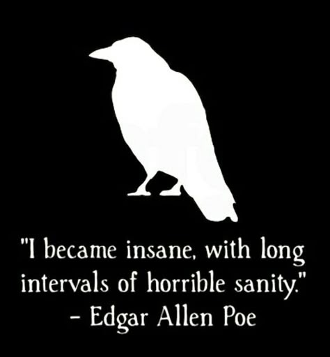 Edgar Allen Poe was an INFP :) Edgar Allen Poe Poems, Allen Poe Quotes, Edgar Allen Poe Quotes, Edgar Allan Poe Quote, Poe Quotes, Quotes Men, Twisted Quotes, Edgar Allen, Poetic Words