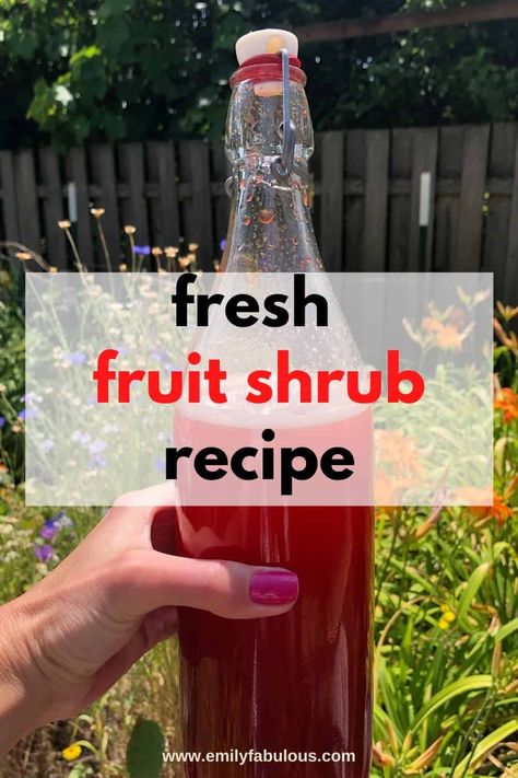 Cherry Shrub Recipe, Shrub Drink, Shrub Recipe, Healthy Alcoholic Drinks, Fruit Shrub, Vinegar Drinks, Fermented Drinks, Craft Cocktail Recipe, Italian Drinks