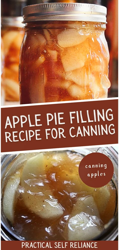 Canning Fruit Recipes, Canning Apple Pie Filling, Easy Apple Pie Filling, Apple Pie Filling Recipe, Canning Apples, Apple Pie Filling Recipes, Homemade Apple Pie Filling, Pie Fillings, Canned Apple Pie Filling