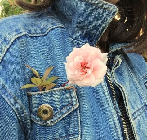 Flowers In Pocket Aesthetic, Brenda Tmr, Flowers In Teacups, Flower Oc, Jeans With Flowers, Flowers In Baskets, Hands Flowers, Teacup Flowers, Bicycle Baskets