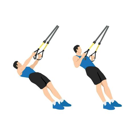 Man doing TRX Suspension strap rows exercise. Flat vector illustration isolated on white background Rows Exercise, Trx Suspension, Flat Vector Illustration, Flat Vector, Trx, Kettlebell, The Row, Vector Art, The Man