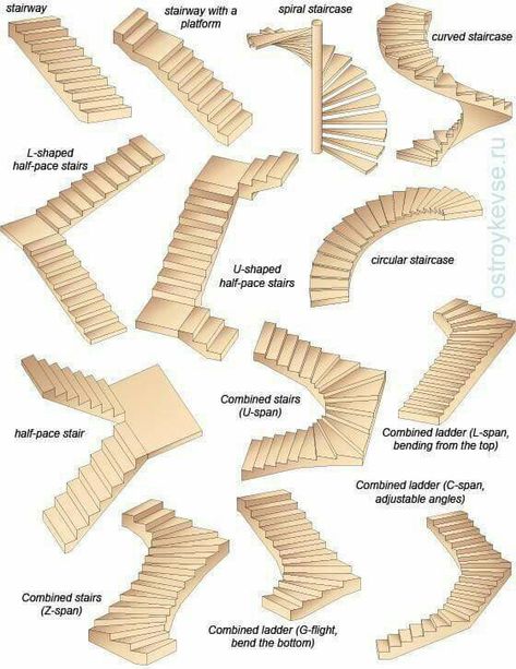 Types d’escalier Vstupná Hala, درج السلم, Types Of Stairs, Building Stairs, Stairs Architecture, Stairway Design, Stairs Design Modern, Home Stairs Design, Curved Staircase