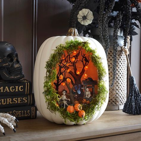 Pumpkin Diorama, Halloween Diorama, Pumpkin Decorating Contest, Hallowen Ideas, Pumpkin Contest, Halloween Crafts Decorations, Pumpkin Carving Ideas, Halloween Pumpkins Carvings, Pumpkin Halloween Decorations