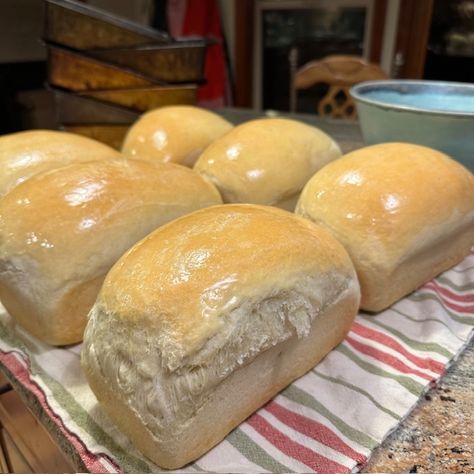 Mamaws Homemade Bread, Grandmas Homemade Bread, Bulk Bread Recipe, Soft Bread Recipe Homemade, How To Make Homemade Bread, Best Bread Recipes Homemade, Basic Sweet Bread Recipe, Easy Quick Breads, Yeast Breadsticks