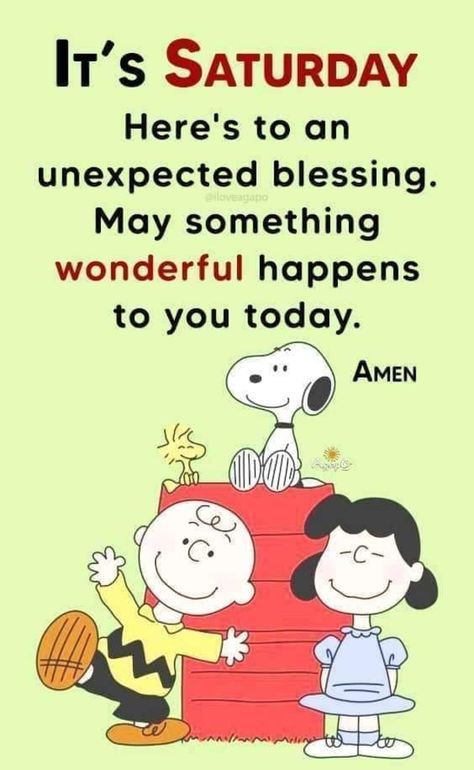 Snoopy Saturday Quotes, It's Saturday Quotes, Saturday Quotes Funny Hilarious, Saturday Morning Blessings, Saturday Quotes Funny, Saturday Morning Humor, Quotes For 2023, Cacti Plants, Happy Saturday Quotes